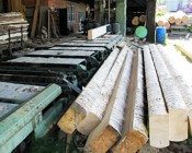 Branchenbuch Forst und Holz